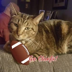 Meet your Posher, Marcella